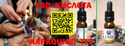 гидропоника Бердск