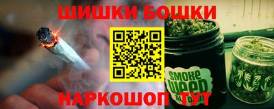 гидра Можга