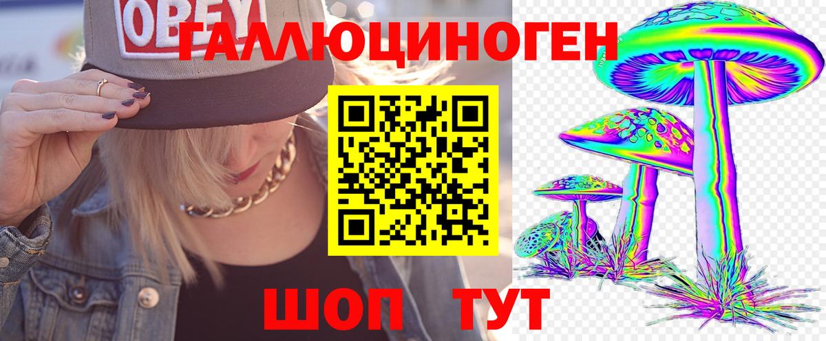 Псилоцибиновые грибы Cubensis Всеволожск