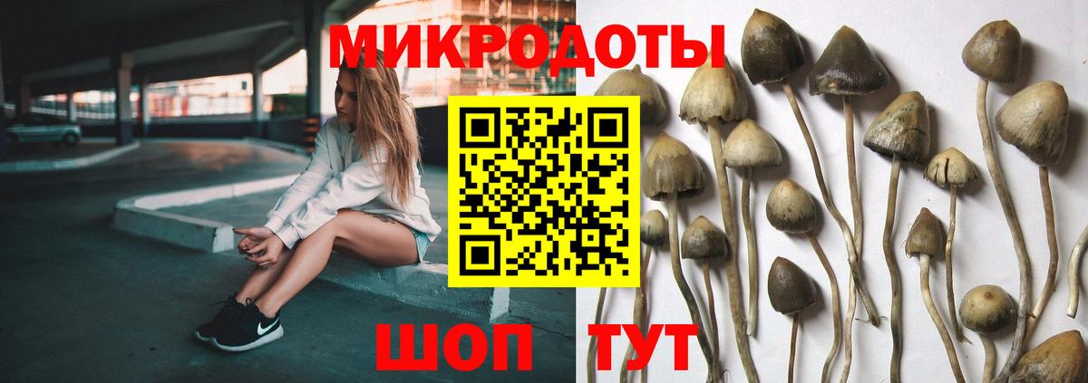 Псилоцибиновые грибы Magic Shrooms  Вход с VPN  Всеволожск 